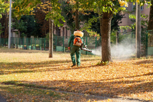 Best Bird Control  in Shreve, OH