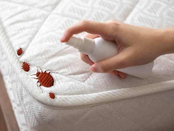 Best Pest Control for Restaurants  in Shreve, OH