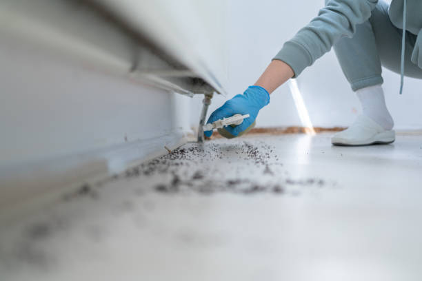 Best Affordable Pest Control Services  in Shreve, OH