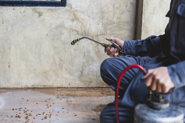 Professional Pest Control in Shreve, OH
